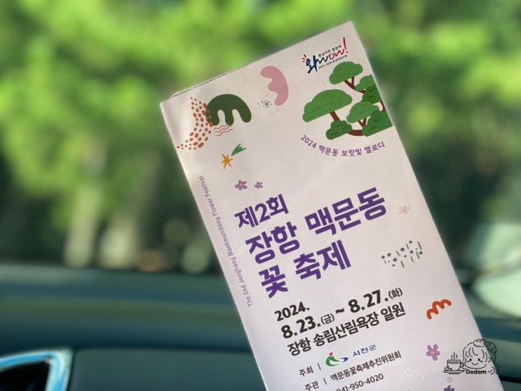  맥문동 꽃 보러 서천 장항송림산림욕장ㅣ주차꿀팁