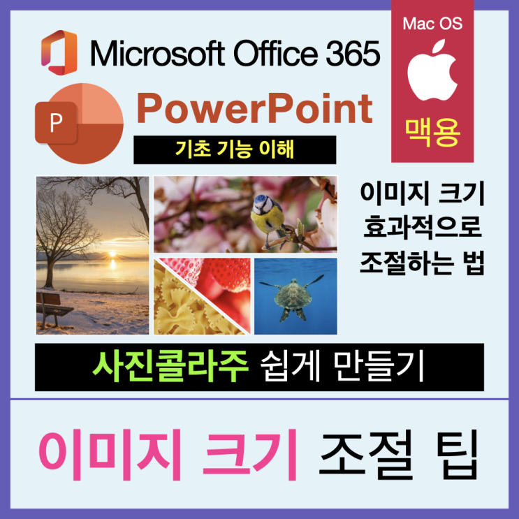 (맥북) 파워포인트 PPT 그림 크기 조절 쉽게 하기 (맥북) 파워포인트 PPT 그림 크기 조절 쉽게 하기