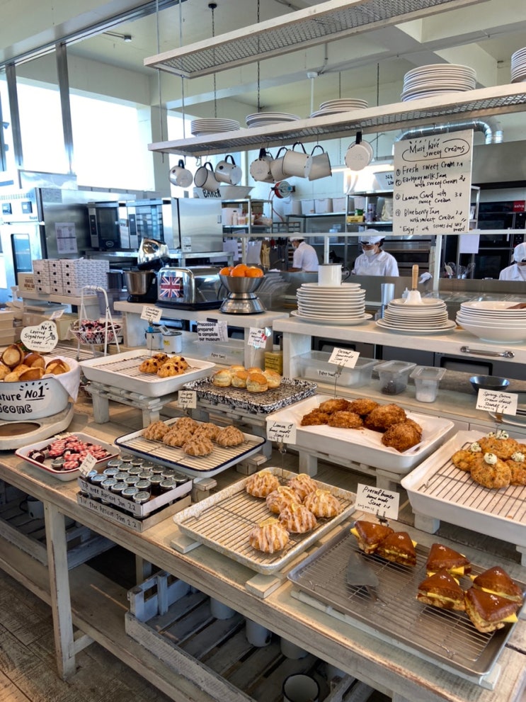  제주도 스콘 맛집! 카페 레이어드 케이크와 스콘 종류, 무료 주차장