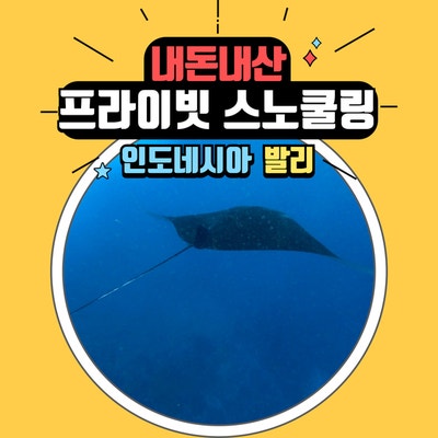  부모님과 함께한 발리 누사페니다 - 렘봉안 프라이빗 스노클링, 아쿠아맨(aqua man)이용 후기