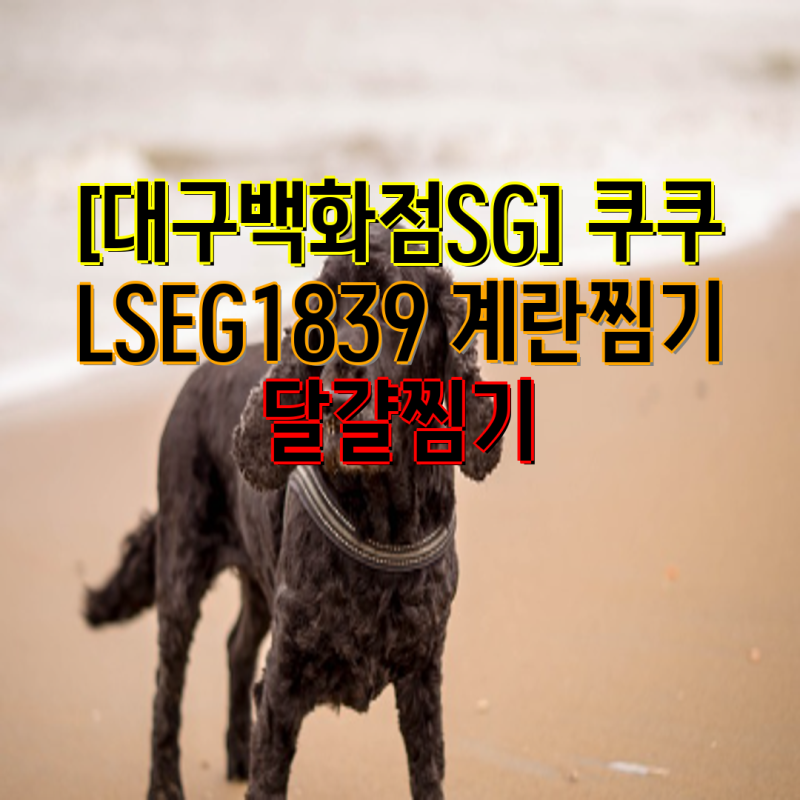 [대구백화점SG] 쿠쿠 LSEG1839 계란찜기, 리빙센스 멀티 다용도 계란찜기 등 7종 비교 가이드 | ....