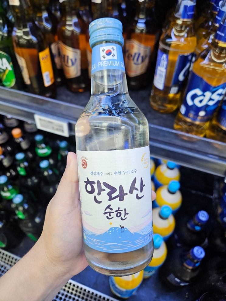  오리지널 한라산 순한 소주 도수 비교 제주도 여행 선물 추천