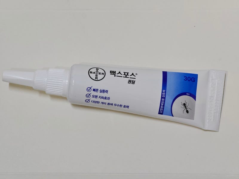 맥스포스 퀀텀 효과좋은 개미약 추천 사용 후기 내돈내산