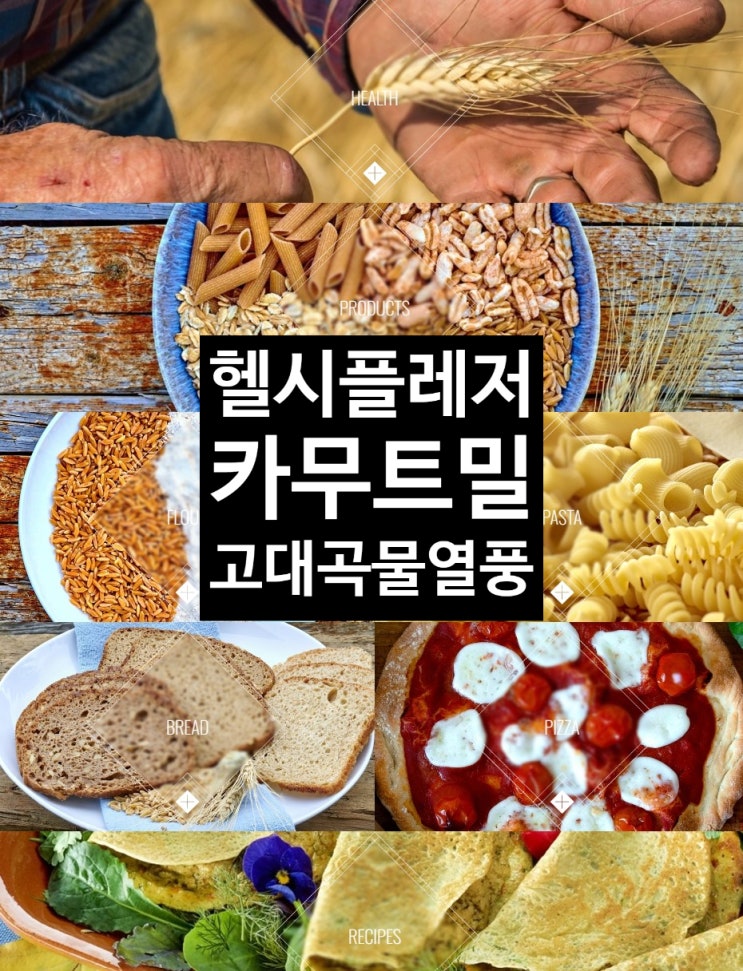  명절 선물과 헬시플레저(feat. 고대 곡물, 호라산 밀, 카무트)카무트밀의브랜딩과정은? 카무트효소?
