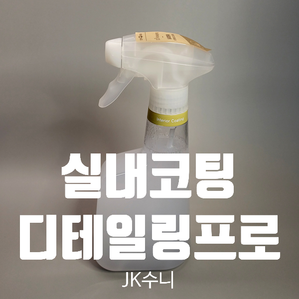  [리뷰] 디테일링프로 자동차 실내세차 코팅제 Tip