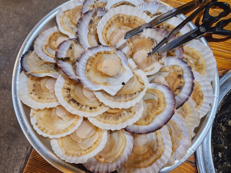  부산 서면 근처 가성비 조개구이 맛집 당감동 해물장터