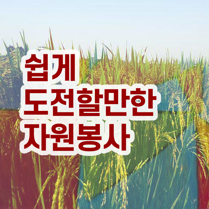  자원봉사 단체 , 자원봉사지도사 자격증 취득한 노하우 정리해봤어요