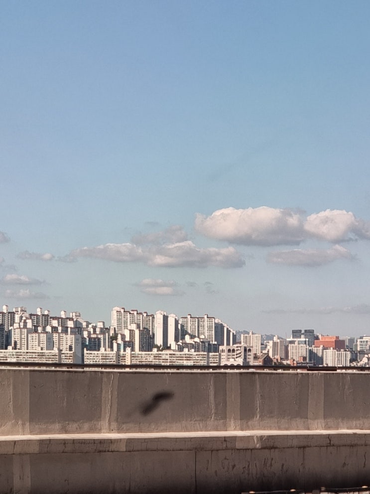  한국의 기지국 위치 정보 수사에 도움되다