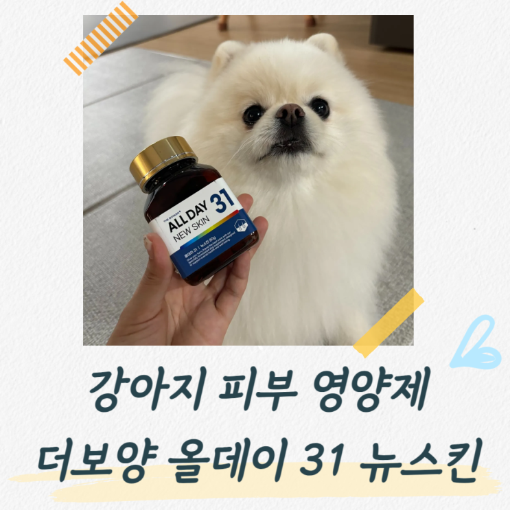  강아지 피부 영양제 후기, 더보양 올데이 31 뉴스킨