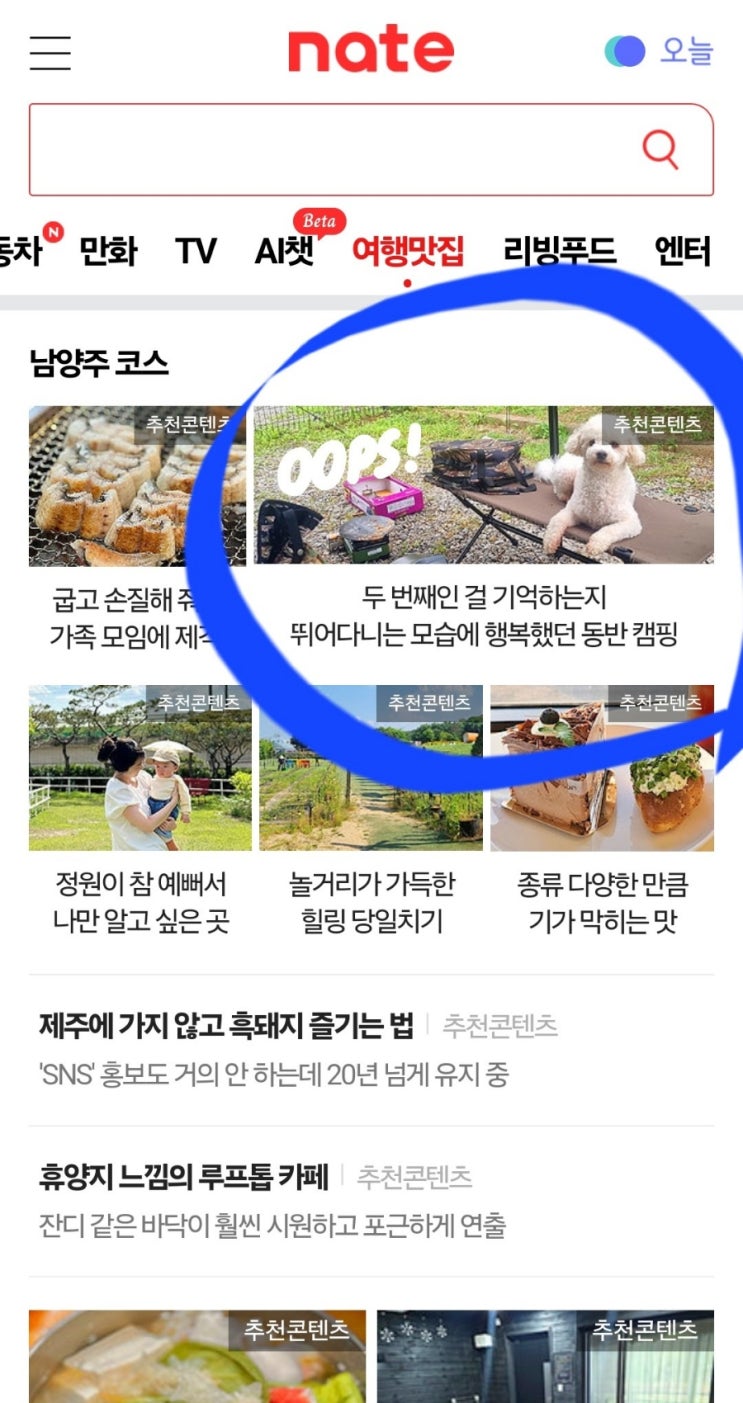  슈니가 네이트 메인 장식:)