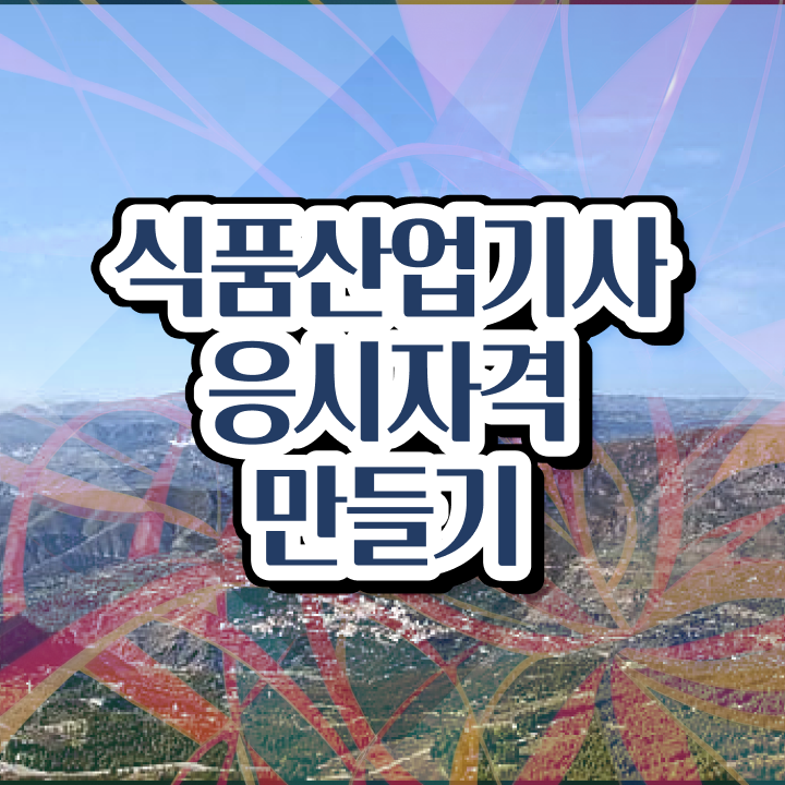  식품산업기사 자격증 식품산업기사 자격요건 인강으로 단기간에 완료한 방법