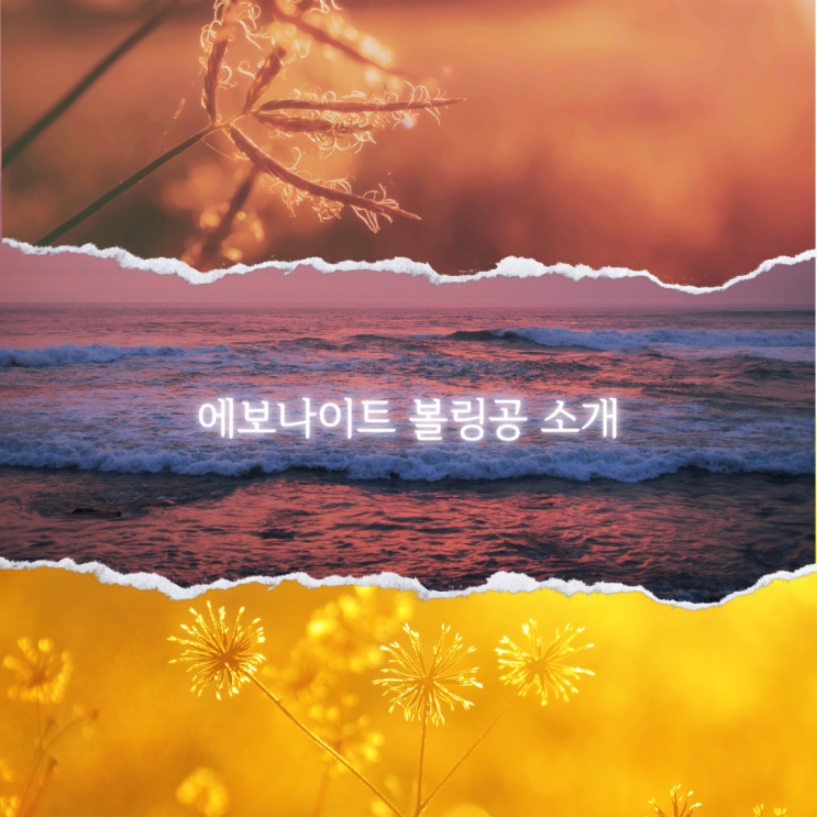  에보나이트 볼링공 소개
