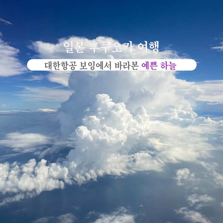  부산INFJ의 여행 - [일본 후쿠오카] 대한항공 : 김해, 후쿠오카 왕복 이용 및 기내식 후기