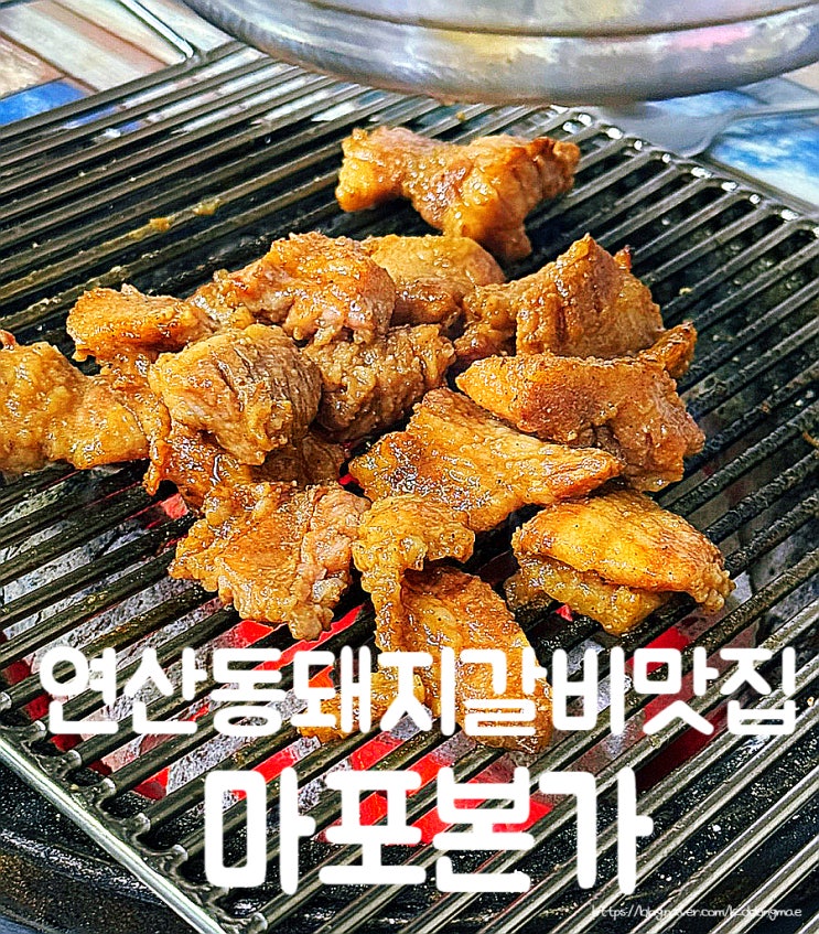  부산 연산동 고기집 '마포본가' 직접 구워주는 돼지갈비 맛집 내돈내산 후기