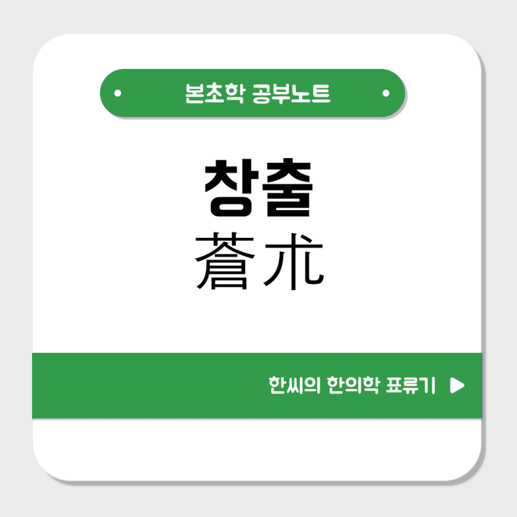  창출(蒼朮)의 효능을 파헤쳐 보자 : 습으로 인한 모든 증상에 응용 가능한 약재 (삽주)