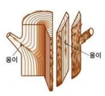 [글로벌우드]_나무 옹이