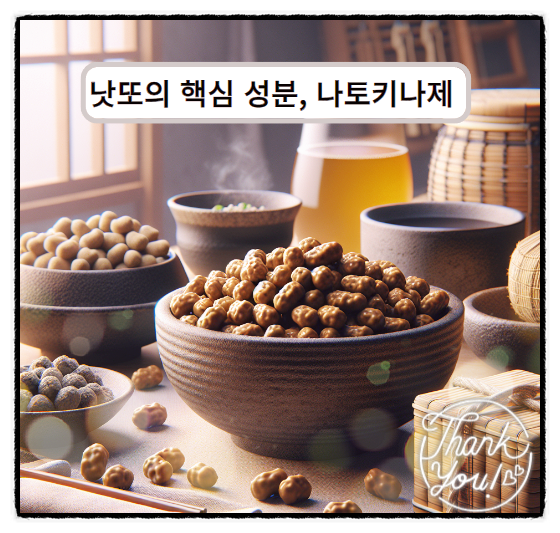  나토키나제 고를 때 알아두어야 할 점
