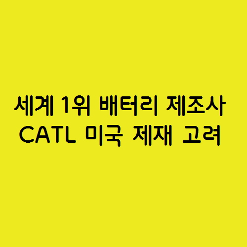 세계 1위 전기차 배터리 제조사 중국 CATL 미국 제재 고려