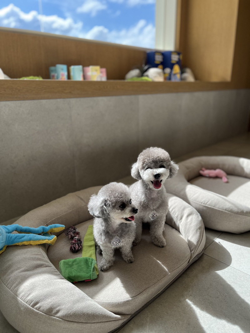 사진 9