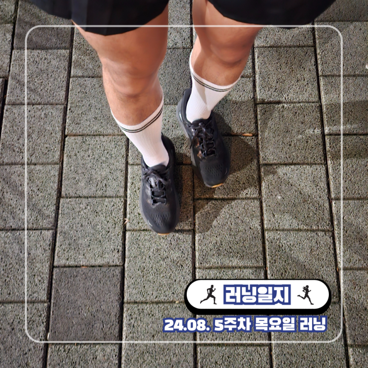  마라톤 대회 지속주 훈련 페이스 트레이닝 하프코스 준비
