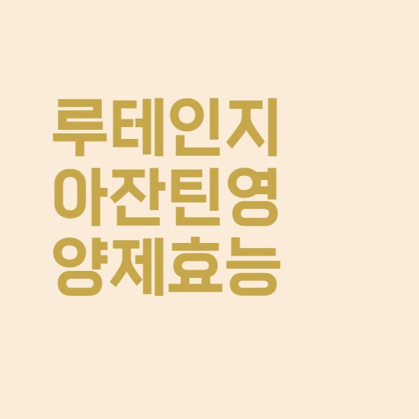  루테인 지아잔틴 눈 영양제를 먹으면 왜 좋은가요