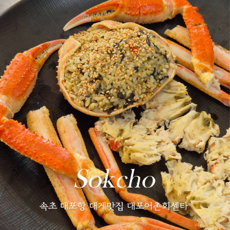  속초 해수욕장 근처 대포항 횟집 대포어촌회센타 대게 맛집