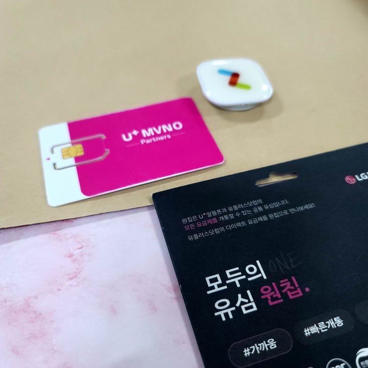  앤텔레콤 L망 특징과 개통순서정리