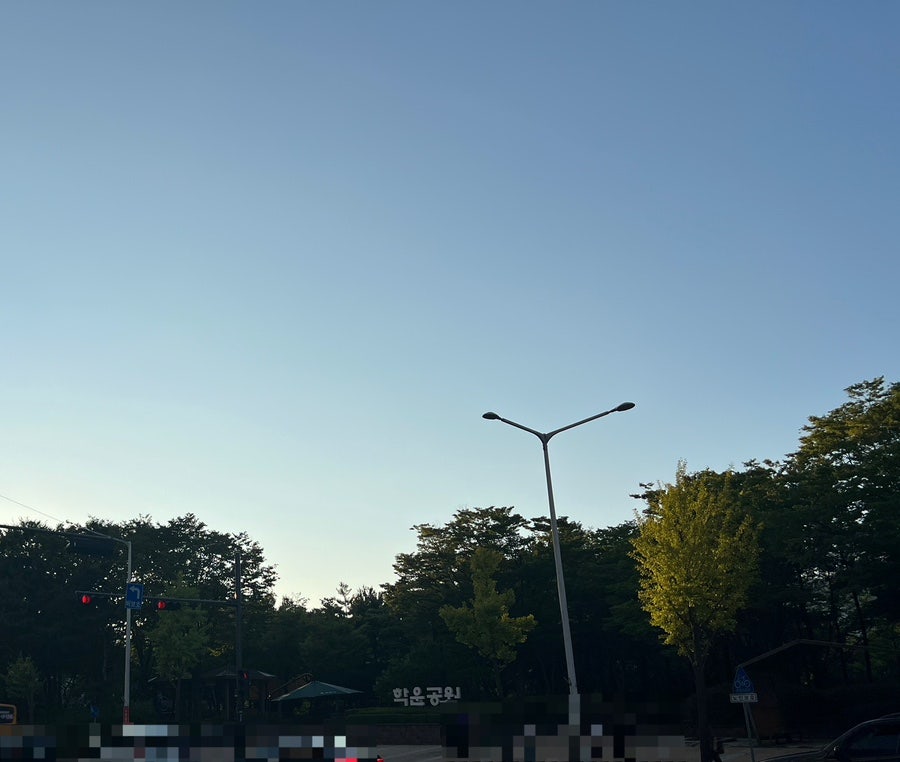 스시수 사진 2