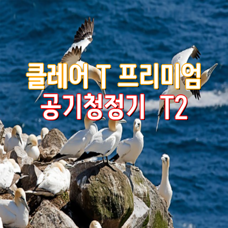 클레어 T 프리미엄 공기청정기 T2, HS 소형 공기청정기 및 교체 필터 완벽 가이드 | 공기청정기....