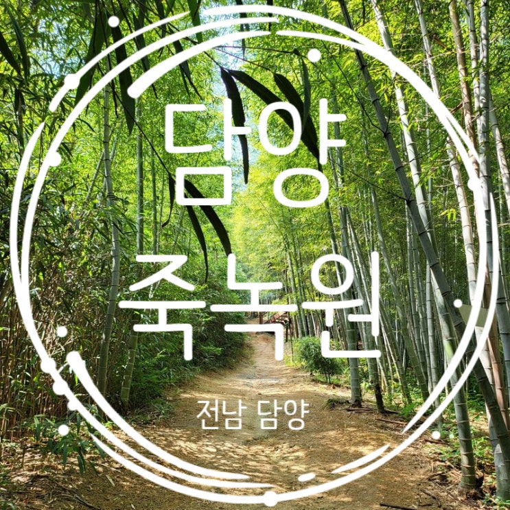  담양 죽녹원 가볼만한곳 여름 대나무숲 입장료 방문후기