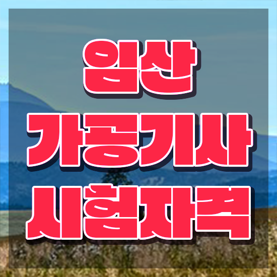  임산가공기사 자격요건 인강만 듣고 간편하게 성공한 후기