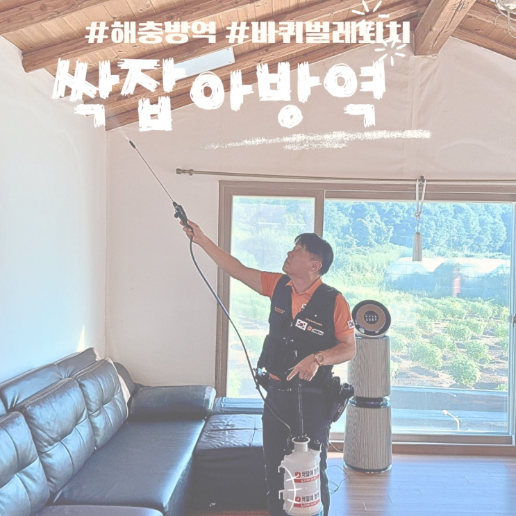  바퀴벌레잡는 대전방역업체 해충퇴치전문 싹잡아 방역