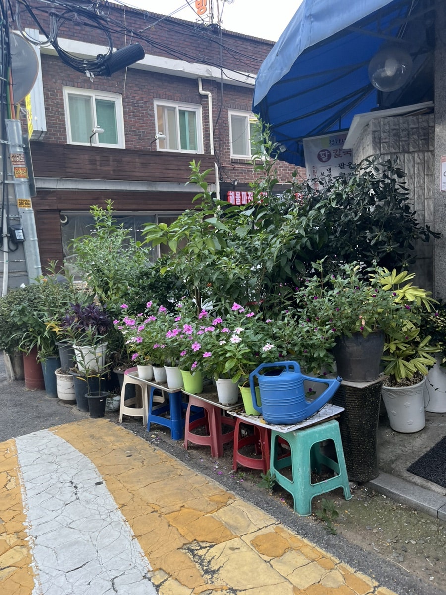정가네팥칼국수 사진 2
