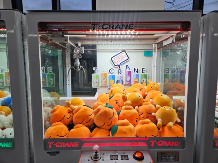  애월오락실 제주 애월카페거리 한담해안산책로 놀거리 가볼만한곳 추천