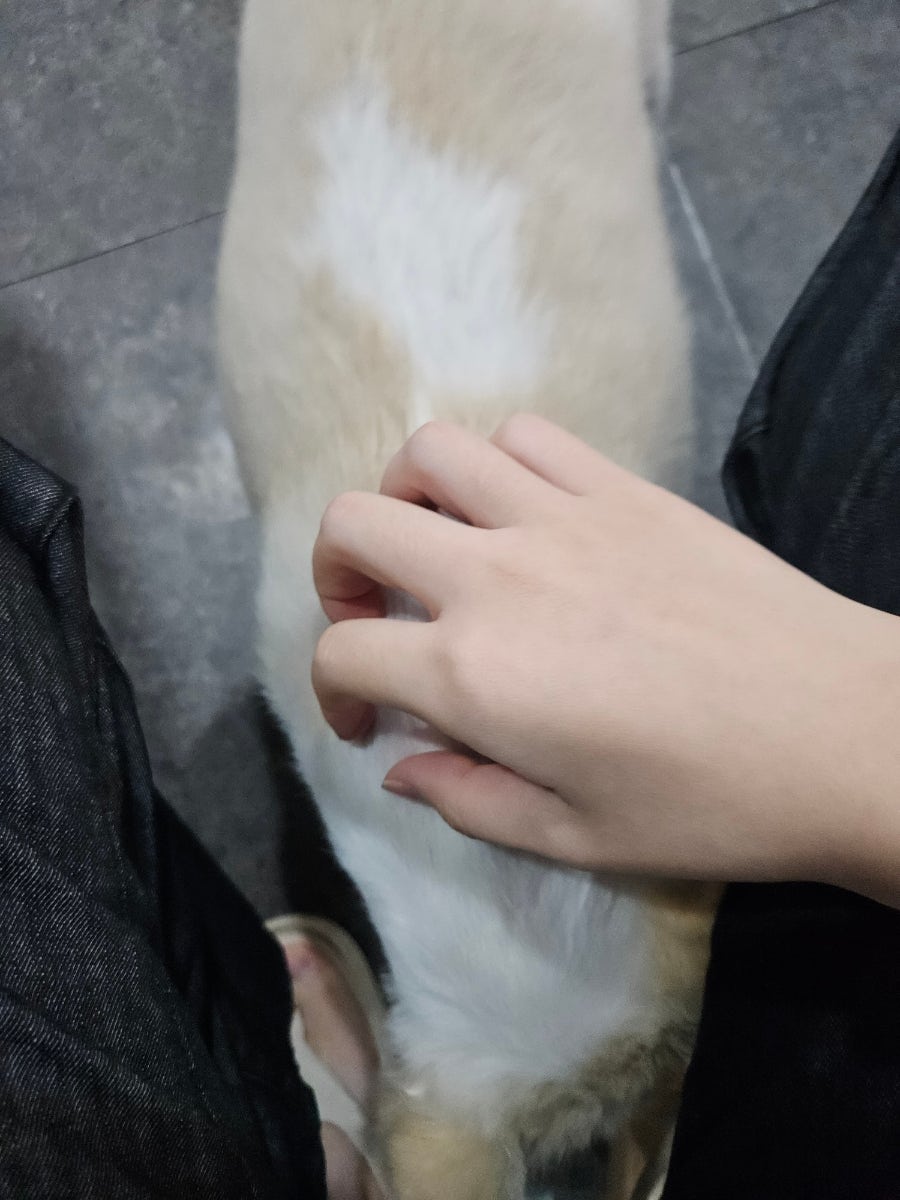 순돌이네연탄집 사진 3