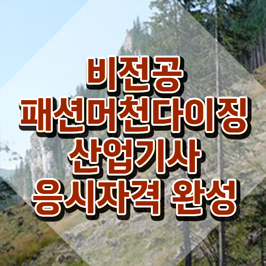  패션머천다이징산업기사 응시자격 서류 패션머천다이징산업기사 응시조건 인강으로 4달만에 준비한 팁