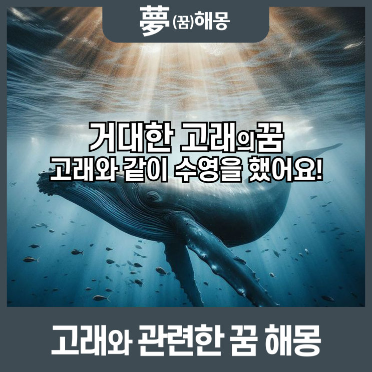  [꿈해몽]고래 꿈! 고래가 꿈에 나왔다는 것은 어떤 의미일까요?