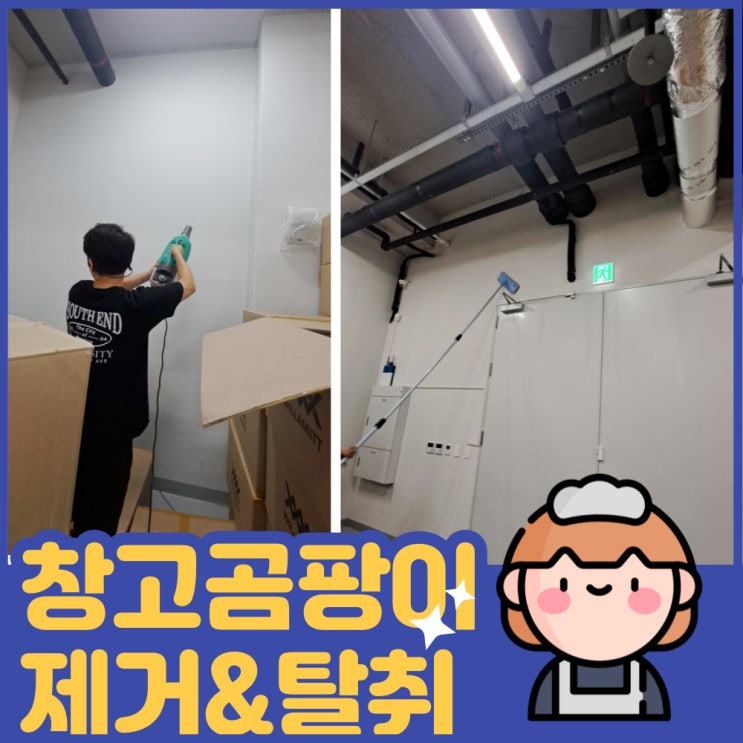  김포 사무실 공장 창고 벽면 곰팡이 제거&냄새까지 한번에~