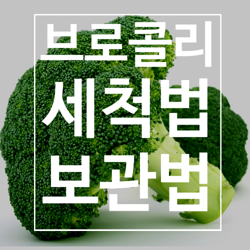 브로콜리 세척법, 냉동보관법,  냉장보관법까지.