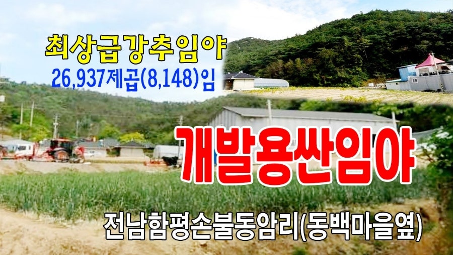 통골 사진 1