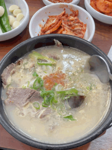  국밥 처돌이가 추천하는 부산 국밥 맛집 구남 목촌 돼지국밥