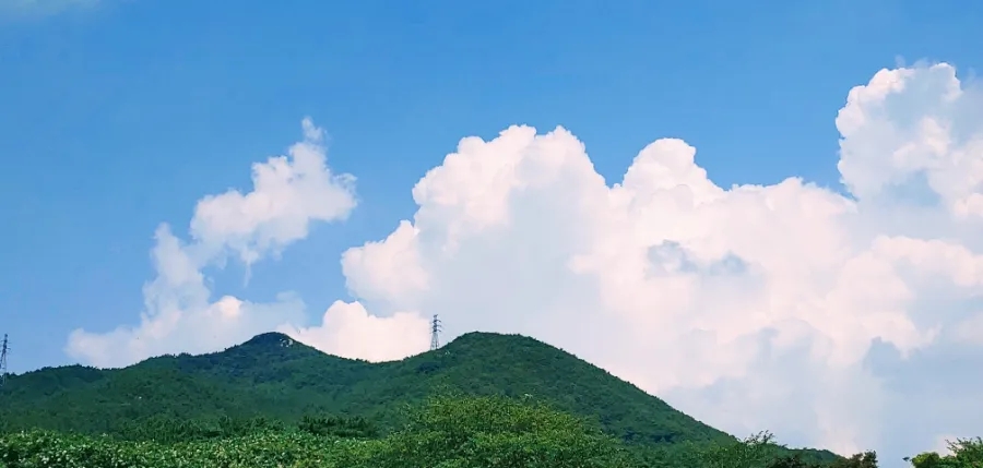 함자골 사진 4