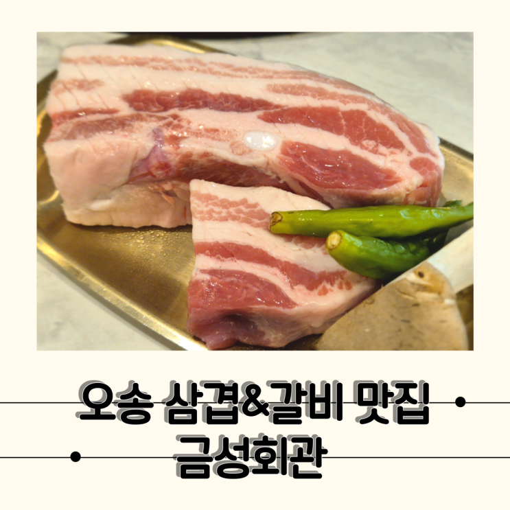  [오송] 삼겹살도 맛있었던 쌍호의 또간집 2산단 고기집, 금성회관 청주오송점