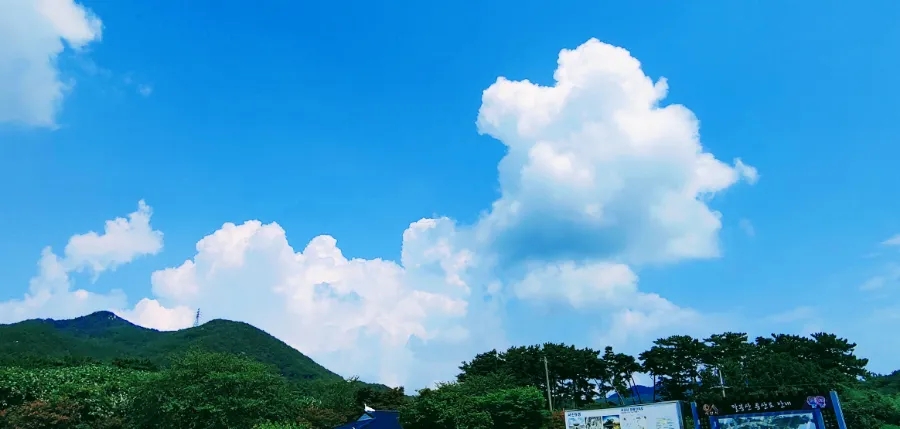 함자골 사진 5