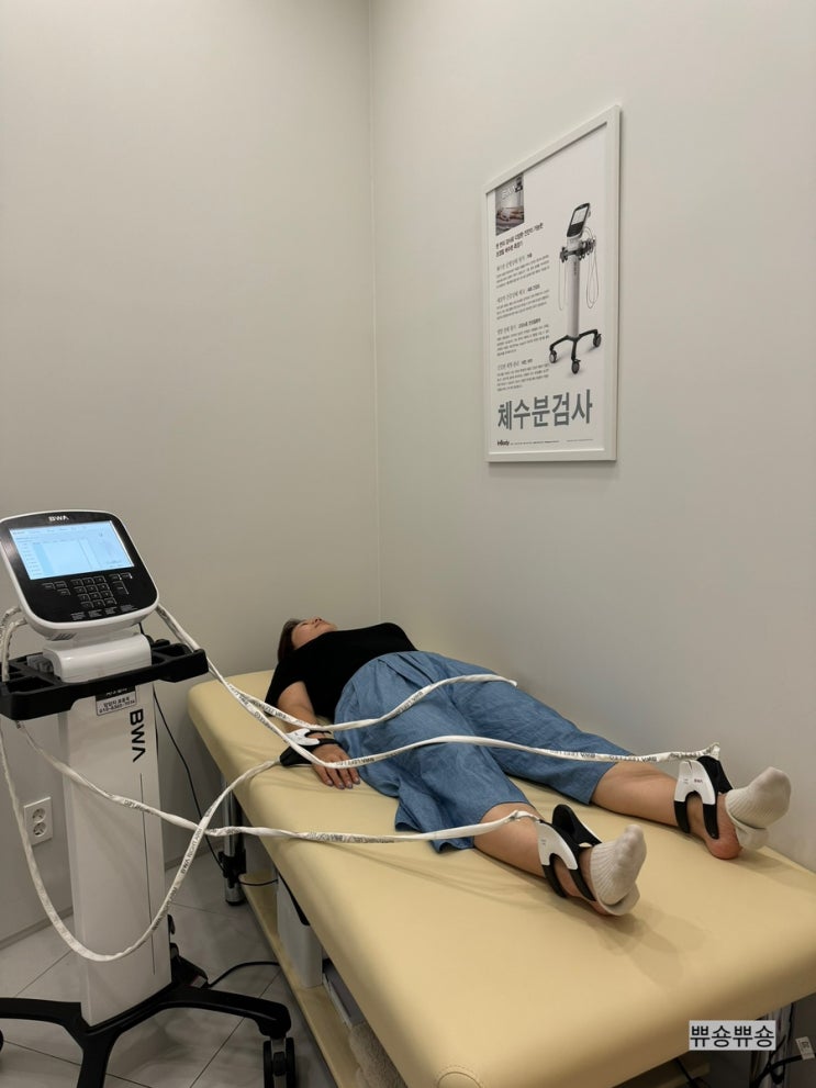  퍼스널컬러 1:1 개인맞춤 건강한 다이어트 바인허브한의원