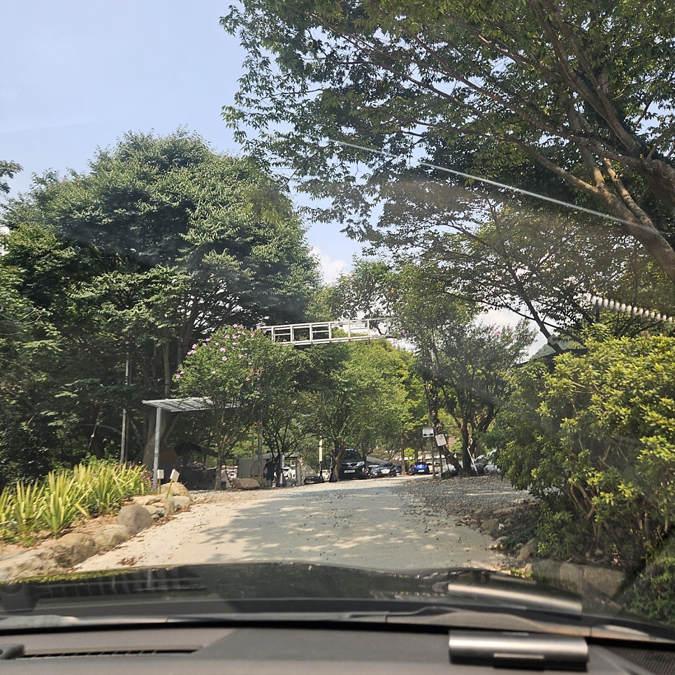 더휴캠핑장 사진 3
