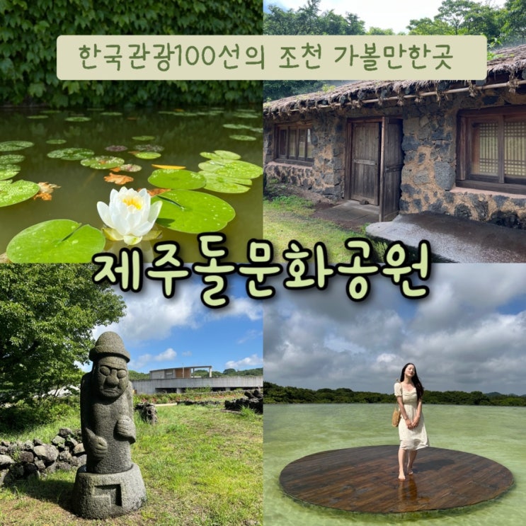  내돈내산 | 한국관광 100선의 돌박물관, 데이지꽃밭과 하늘연못이 아름다운 제주 조천가볼만한곳 “제주돌문화공원”