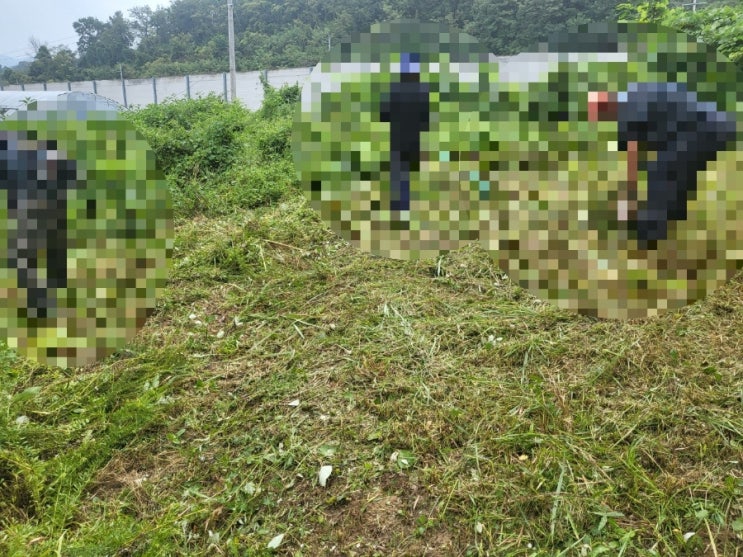  2024년 김천  봉산면 덕천리 벌초대행 고인돌장의사 #김천벌초 #선산벌초 #구미벌초 #황간벌초 #영동벌초 #성주벌초 #상주벌초 #벌초대행 #벌초 #추석벌초 #손없는날 #윤달