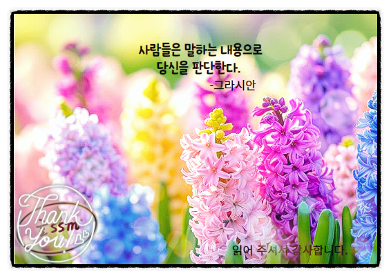  눈 따가움 원인과 관리법