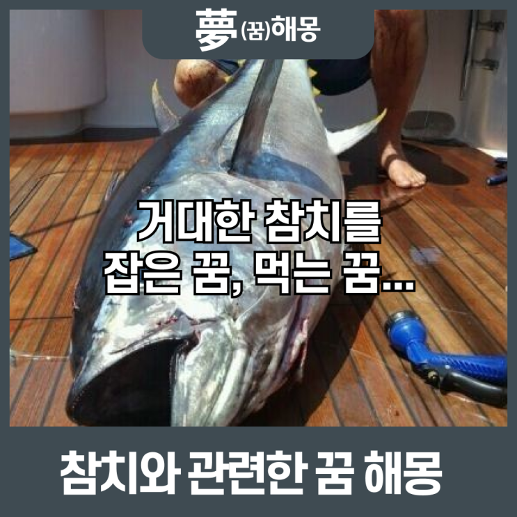 [꿈해몽] 꿈에서 참치를 보았다면? 잡았다면? 참치에 관한 꿈해몽